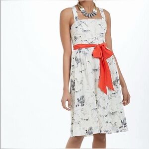 Anthropologie Maeve Fetch and Frolic Dress